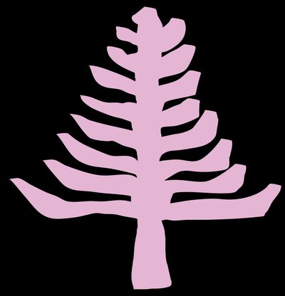 Orewa Icon