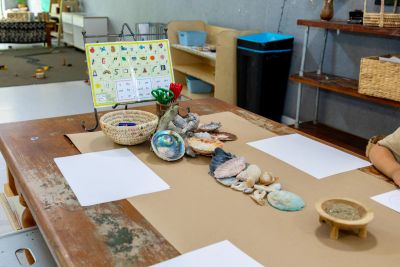 Albany - Shells at art table