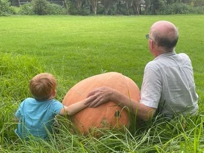 Waimauku pumpkin