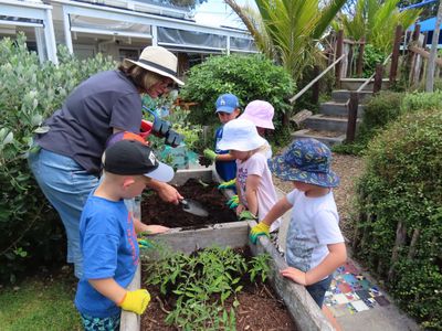 Orewa garden