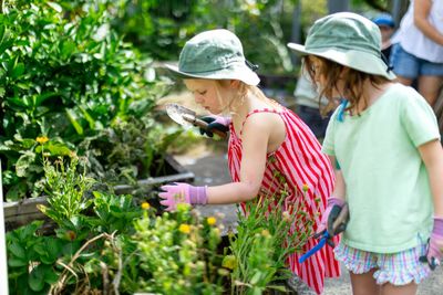 Waimauku gardening
