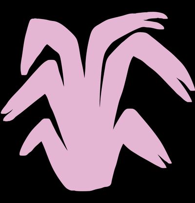 Parakai Icon