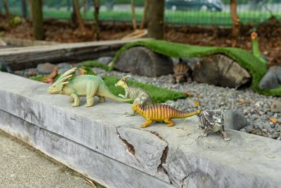 Silverdale dinosaurs