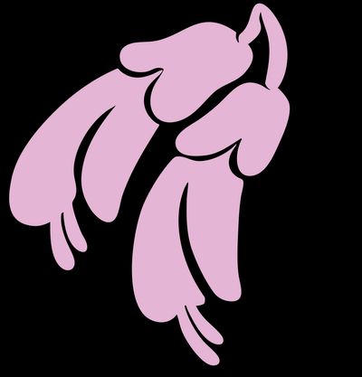 Mahurangi Icon