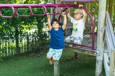 Oaktree monkey bars