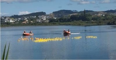 Orewa - Ducky Derby